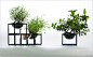 A’ Design Award – Past Winners and Call For Entries - Planet without the “E” Mini Planter Set by Yu Hiraoka Design