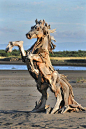 Artist Jeff Uitto creates intricate sculptures from driftwood he finds along the coast of Washington. Uitto has sculpted wild horses, soaring eagles, and even a giraffe out of salvaged tree branches.