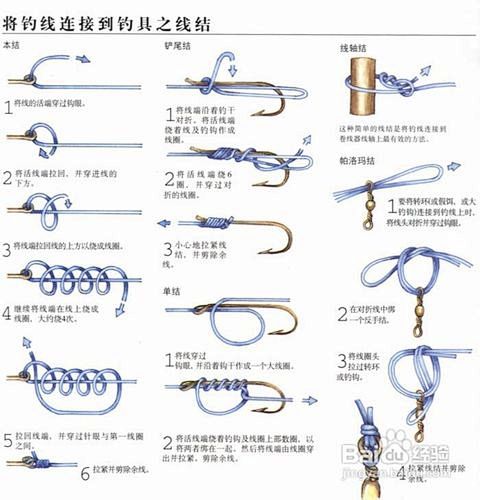 鱼钩鱼线