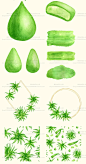 创意手绘水彩芦荟绿植图案边框化妆护肤美妆植物PNG免抠设计素材-淘宝网