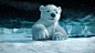 3D動物畫，北極熊 壁紙 - 1920x1080 全高清