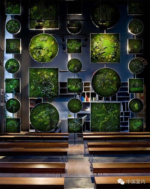 国外室内经典植物墙的设计欣赏 - 一通园...
