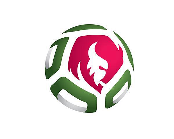 “足球logo”的图片搜索结果