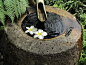 water feature | jardinería | Pinterest