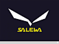 世界顶级户外运动品牌SALEWA启用新LOGO