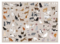 Pop Chart Lab | Design + Data = Delight | Cats, Categorized