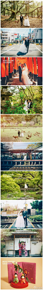 我们在京都与一对对新人体验了精致文化,参观了历史风景,品尝了地道美味,记录了爱情最自然的模样,想把他们分享给大家.转发此条微博并说出你对京都的想法,我们会随机抽取一位获得这份摄影师@jolie罗晓韵 从京都带回的一对爱情娃娃“季节模样”京都我们十一月再见咯#让爱在旅途中绽放#