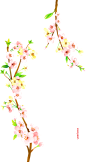 手绘鲜花花束桃花免抠_PNG：