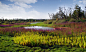 Wenying Lake by AECOM « Landscape Architecture Platform | Landezine
