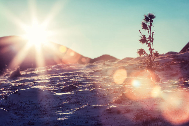 沙漠空中的阳光图片