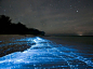 世界15大难以置信的自然奇观 发现天空之镜
马尔代夫：荧光海岸 　　马尔代夫的很多岛屿上都有印度洋航行，其中有些是你不能错过的。暗夜中的海水被数以千计发光的生物所照亮，它们大多是藻类。当海浪拍击沙滩时，这里就是一片梦幻的蓝光。