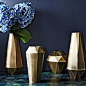 Botanical Glass Vases and Ceramics | west elm