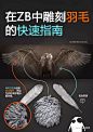 【技术分享】在zbrush中雕刻写实羽毛的教程 :               公司名称为：南京思锐艾网络科技有限公司。品牌LOGO为：3AGames游戏。www.3agames.com是我们的官方网站，如果想了解详细信息可以登录网站了解。如果想合作的...