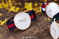 MonIris采集到BRAND / DW(Daniel Wellington)