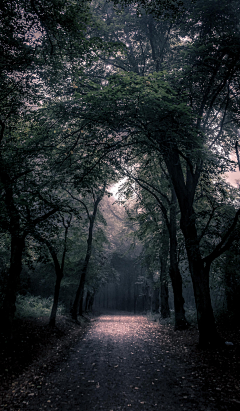 绿茶馨香采集到一路美景