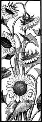 Request Day - Sunflowers, Seahorse, Art Nouveau Frame, Big Ben - The Graphics Fairy