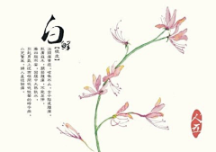 xxyynzz采集到花