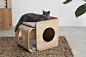 让你的小猫有一个温暖的家| 全球最好的设计,尽在普象网 puxiang.com