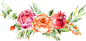 水彩花卉PNG免抠元素背景图片鲜花元素插画花卉牡丹花