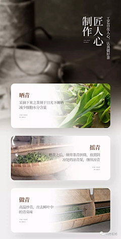 麻酱胡采集到（麻酱胡）网页设计