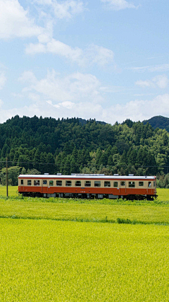 壞胚子采集到列車節節