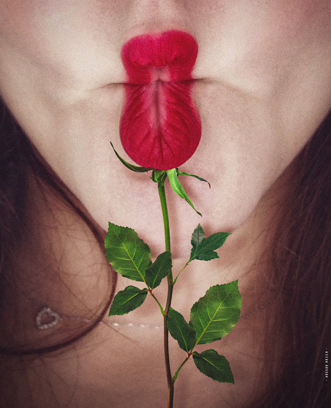KISS FROM A ROSE