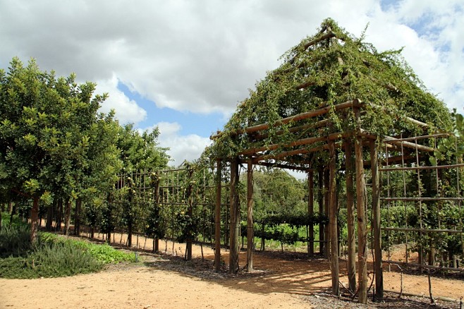 “babylonstoren green...