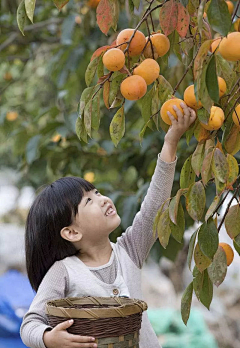 Hupper采集到美食