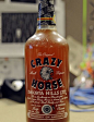 Crazy Horse Malt Liquor Protest