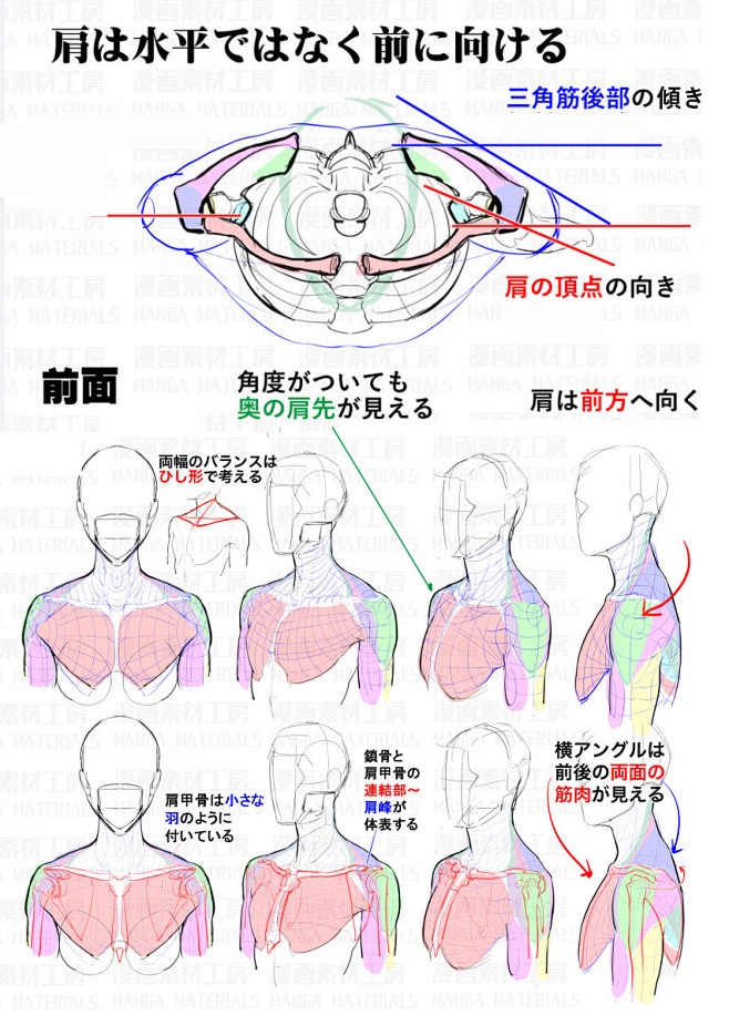 「肩の描き方・違和感と修正法⑧⑨」/「漫...