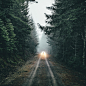 Nature Through the Lens of Dylan Furst