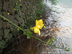 coford采集到桐溪水库休闲出行, **0082