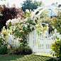 12 Stylish Garden Gates : Invite visitors to your garden with an enchanting entrance and stylish gate. 