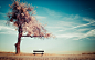 Alone, Bench, Clouds, Desert, Earth, Ground, Landscape, Man Made, Nature, Quote, Sky, Tree, Trees, Winter wallpaper preview