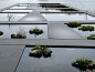 Catherine Mosbach - Water Garden, Bordeaux Botanical Garden