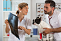 Couple reviewing veterinary radiography by 135pixels Eduardo Gonzalez on 500px