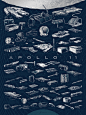 The Apollo 11 Collection Poster