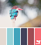 feathered palette