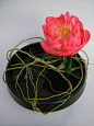 Ikebana with peonies by sogetsudc, via Flickr