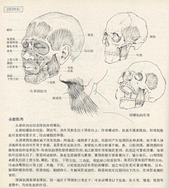 bbsx采集到绘画教学图