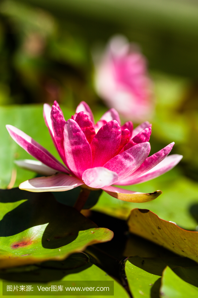 59d071d2babc3b8633b79d430897929f730a71fed4c4a-VqPevV