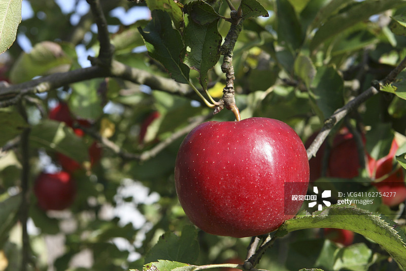 59e27793ed60c635a29ff2b03077f4d451a70ea220989-7WHDvP