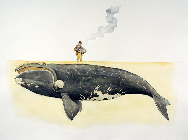 Paul Morstad 鲸鱼的故事 自...