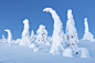 芬兰拉普兰的雪景有着童话般的奇幻之感，被誉为冬日仙境。