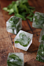 Mint Infused Ice Cubes — perfect

