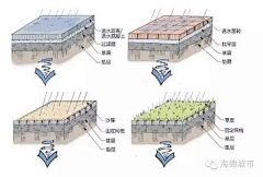 Sunshine安东采集到海绵城市