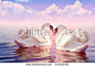 Couple of Beautiful white swans in the foggy rose lake at the sunset with big clouds on the background. Swan. Romantic theme with cygnus in the sea. Morning light. Landscape with swan. White swan