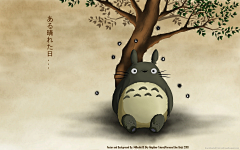 袜纸大侠采集到❤3❤ TOTORO