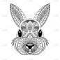 兔头涂色书插图。黑白线。