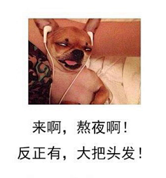 誓梦采集到GIF 搞笑